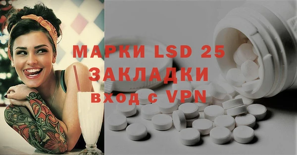 твердый Новозыбков