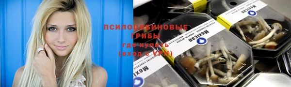 мдпв Арсеньев